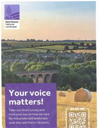 North Downs Management Plan Survey